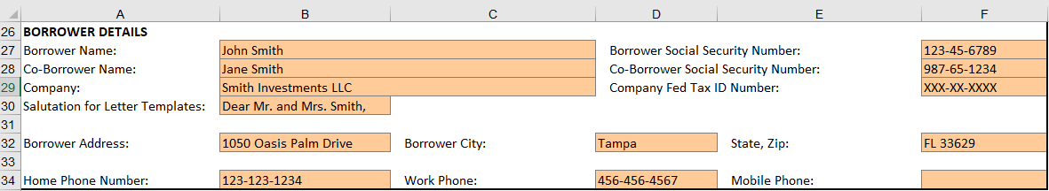 Entering Borrower details on the Setup worksheet